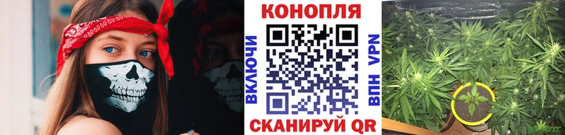 Конопля VHQ Кольчугино